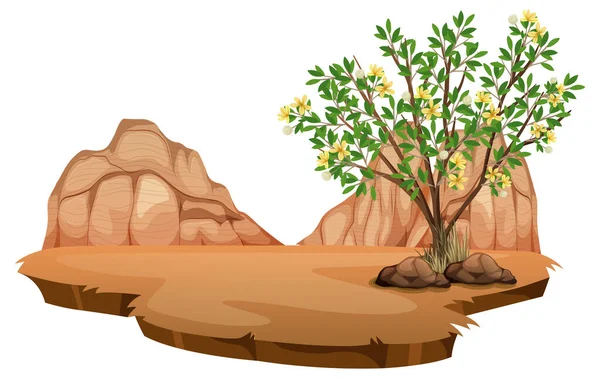 Creosote Bush Planta Deserto Selvagem Sobre Fundo Branco Ilustração —  Vetores de Stock