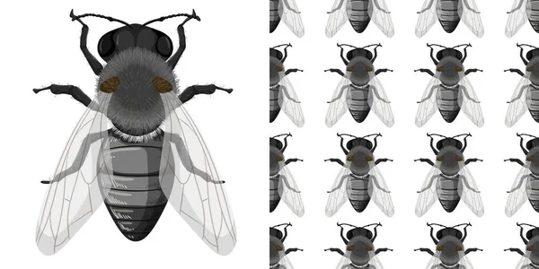 Insectos Voadores Isolados Sobre Fundo Branco Ilustração Perfeita — Vetor de Stock