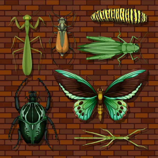 Ensemble Différents Insectes Sur Fond Papier Peint Bois Illustration — Image vectorielle