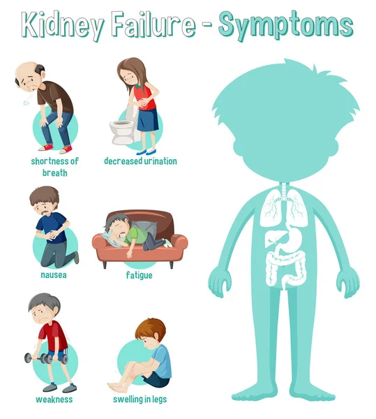 Νεφρική Ανεπάρκεια Συμπτώματα Πληροφορίες Infographic Εικονογράφηση — Διανυσματικό Αρχείο