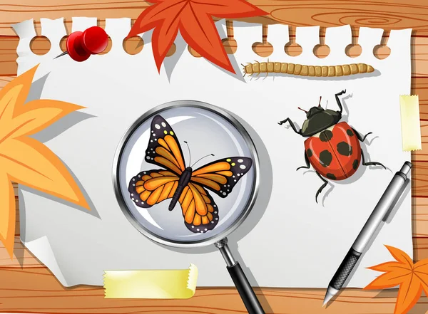 Nombreux Insectes Différents Sur Table Illustration Gros Plan — Image vectorielle