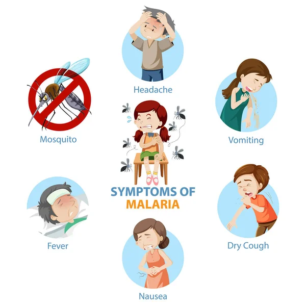 Sintomi Della Malaria Stile Cartone Animato Illustrazione Infografica — Vettoriale Stock