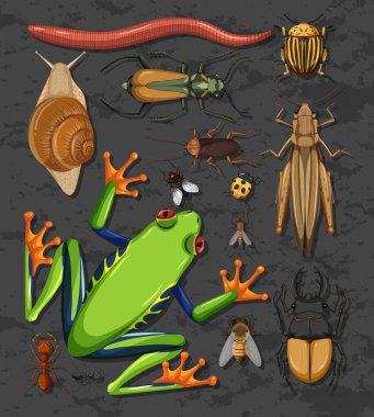 Farklı böcek kümeleri izole edilmiş çizimler