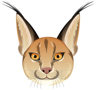 Caracal cat head on white background illustration clipart