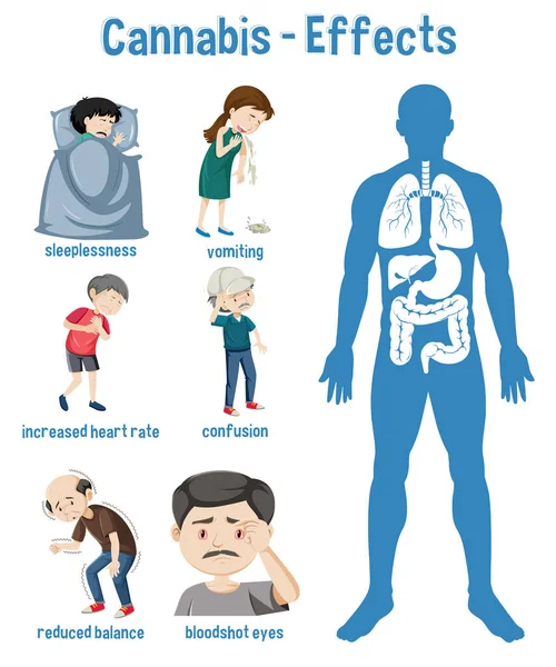 Esrar Infographic Illüstrasyonunun Sağlık Etkileri — Stok Vektör