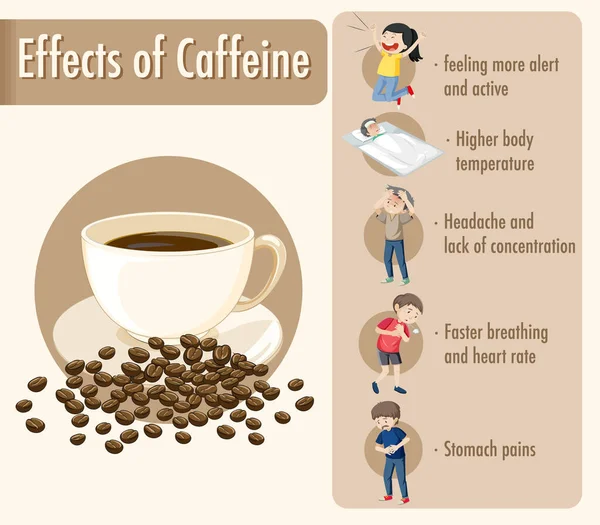 Effetti Delle Informazioni Sulla Caffeina Illustrazione Infografica — Vettoriale Stock