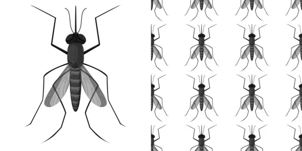 Insetti Zanzare Isolati Sfondo Bianco Illustrazione Senza Soluzione Continuità — Vettoriale Stock