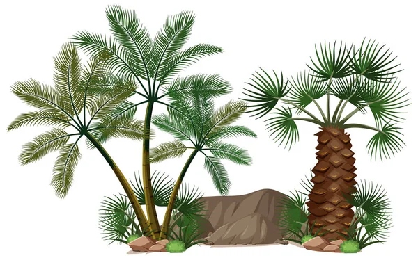 Defferente Palmbomen Met Natuurelementen Witte Achtergrond Illustratie — Stockvector