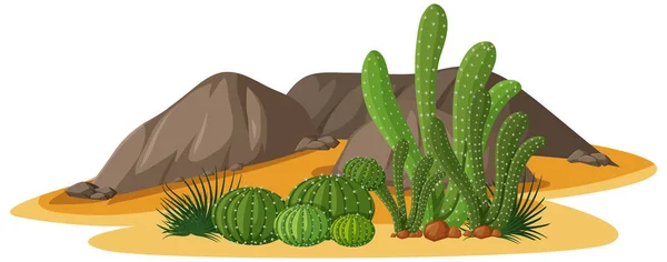 Différentes Formes Cactus Dans Groupe Avec Des Éléments Rocheux Sur — Image vectorielle