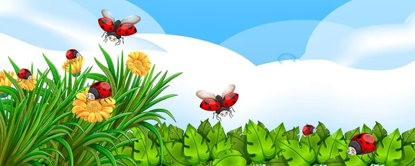 Lege Natuur Achtergrond Met Veel Lady Bugs Illustratie — Stockvector