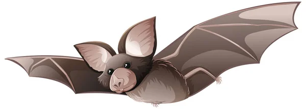 California Leaf Nosed Bat Izolowane Białym Tle Ilustracji — Wektor stockowy