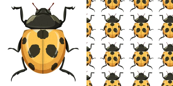 Insecte Coccinelle Illustration Fond Sans Couture — Image vectorielle
