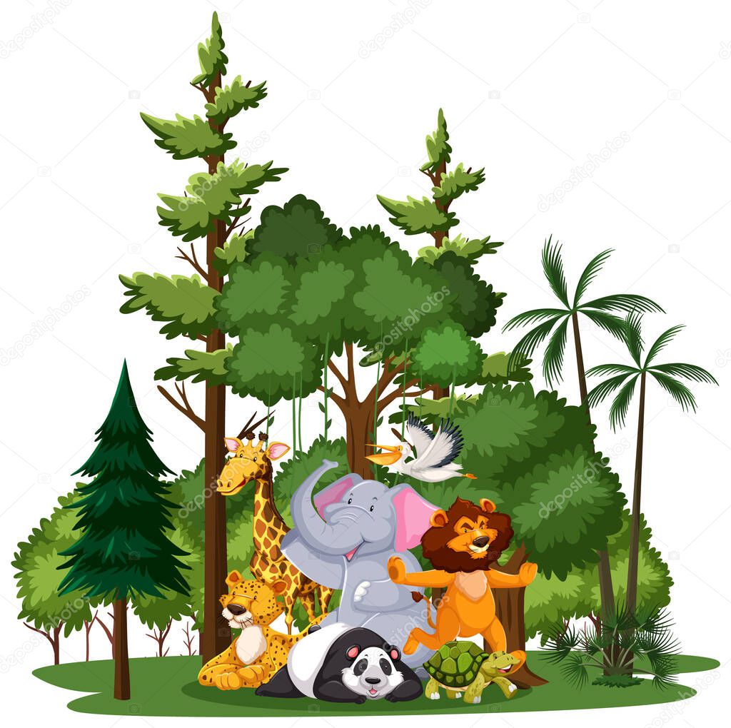 Wild animal or zoo animal group with nature elements on white background illustration