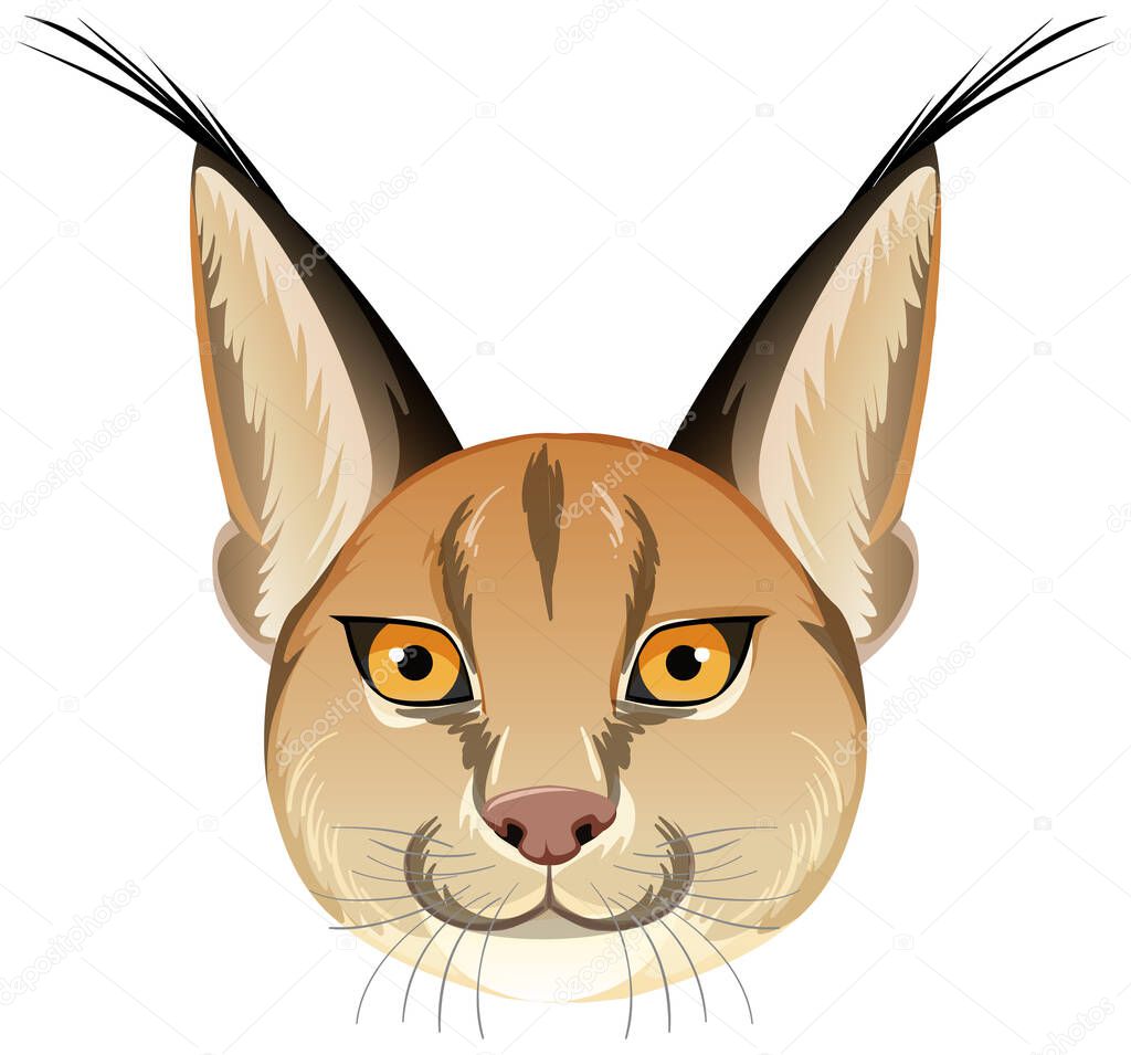 Caracal cat head on white background illustration