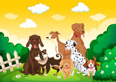 Bahçe sahnesindeki köpek grubu.