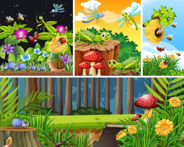 Bahçe arka planında yaşayan bir grup farklı böcek.