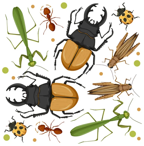 Conjunto Diferentes Insectos Sobre Fondo Blanco Ilustración — Archivo Imágenes Vectoriales