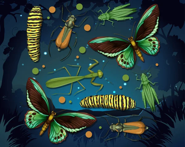 Conjunto Diferentes Insectos Ilustración Aislada — Archivo Imágenes Vectoriales