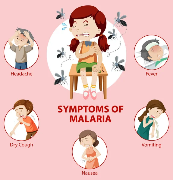 Malaria Sintomo Informazioni Infografiche Illustrazione — Vettoriale Stock