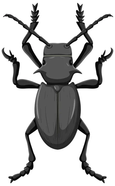 Cactus Beetle Isolated White Background Illustration — Stock Vector