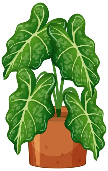 Plant Pot Soil Isolated White Background Illustration — Stock Vector