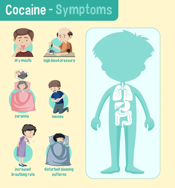 可卡因信息图解对健康的影响 — 图库矢量图片