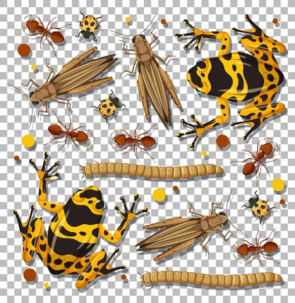 Jeu Différents Insectes Sur Fond Transparent Illustration — Image vectorielle