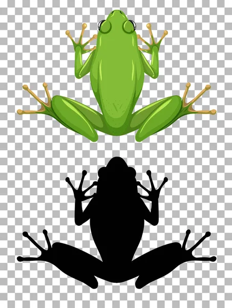 White Lipped Frog Its Silhouette Isolated White Background Illustration — Stock Vector