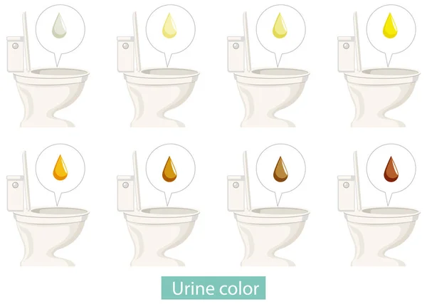 Ensemble Illustrations Différentes Couleurs Urine — Image vectorielle