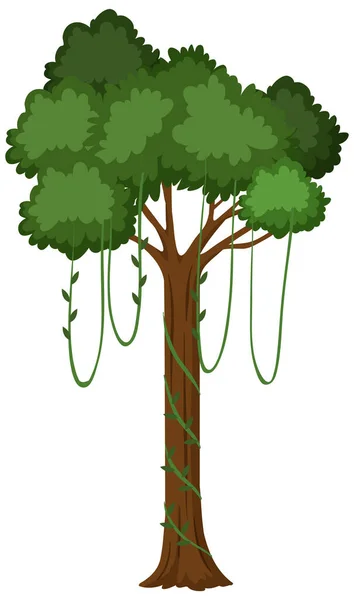 Árvore Isolada Sobre Fundo Branco Ilustração —  Vetores de Stock