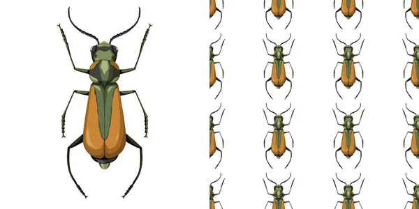 Malachius Aeneus Insect Naadloze Achtergrond Illustratie — Stockvector