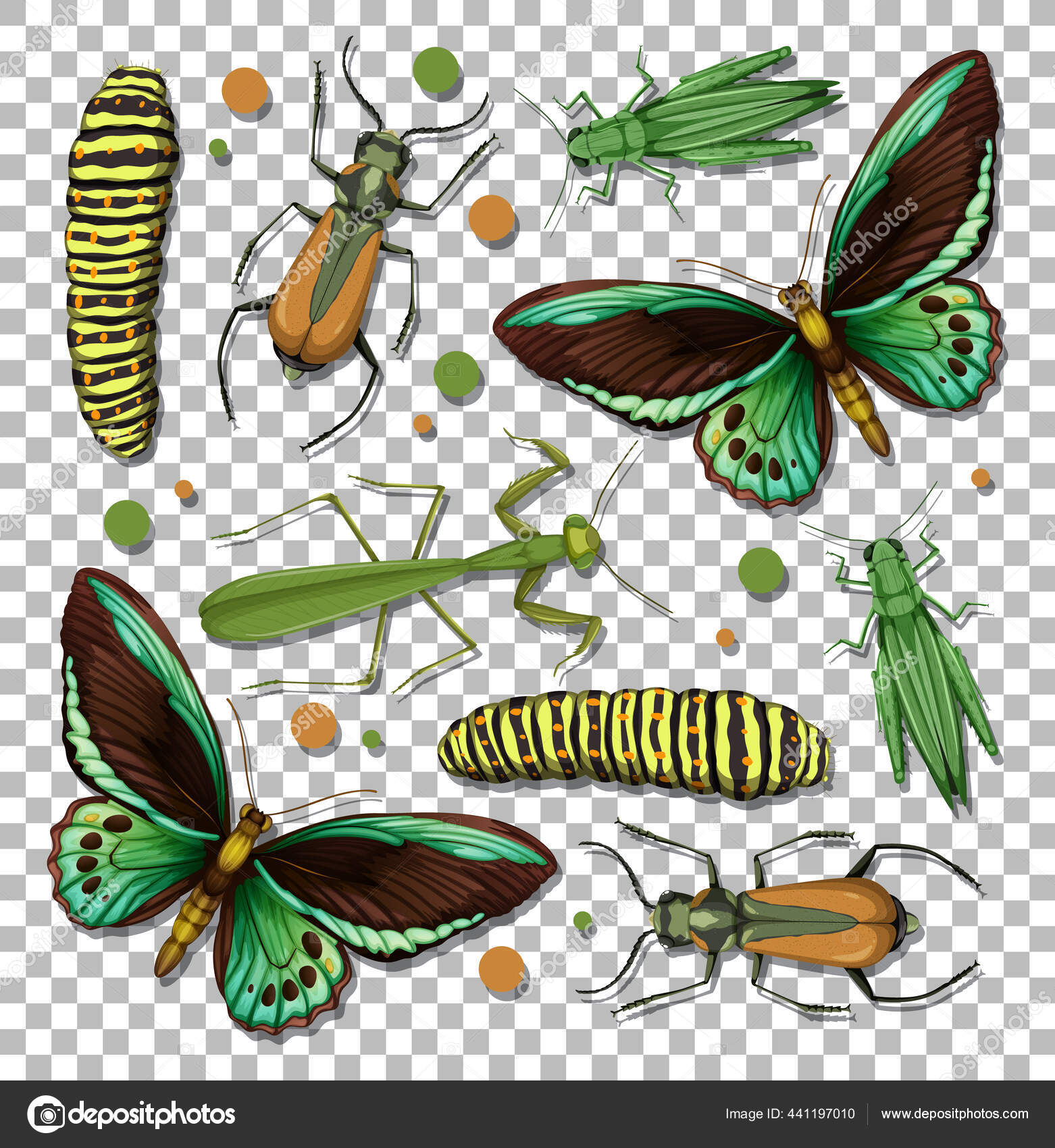 透明背景图上的一组不同昆虫图库矢量图©blueringmedia 441197010