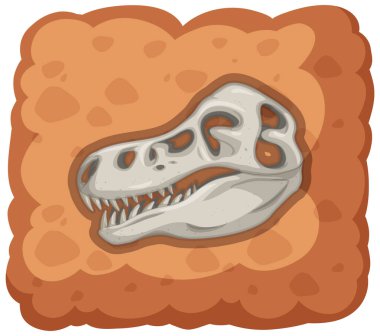 Beyaz arkaplandaki nesli tükenmiş dinozor fosili