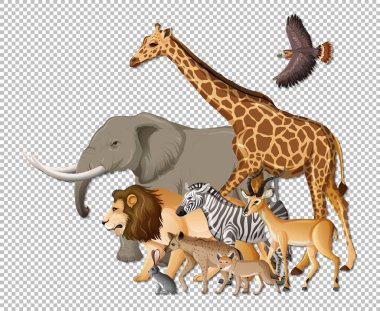 Group of wild african animals on transparent background illustration clipart