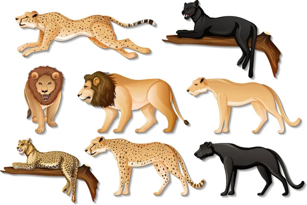 Sada Izolovaných Volně Žijících Afrických Zvířat Bílém Pozadí Ilustrace — Stockový vektor