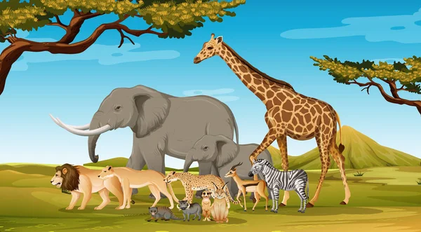 Grupo Animales Salvajes Africanos Escena Forestal Ilustración — Archivo Imágenes Vectoriales