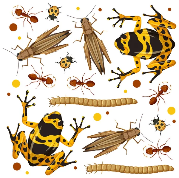 Set Different Insects White Background Illustration — Stock Vector
