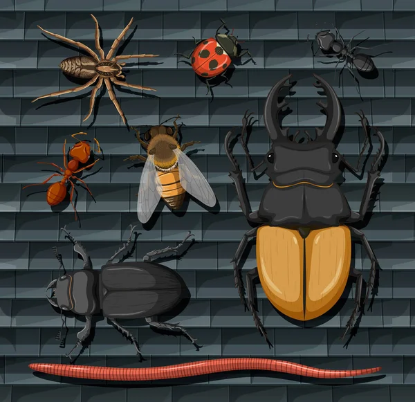 Conjunto Diferentes Insectos Ilustración Aislada — Archivo Imágenes Vectoriales