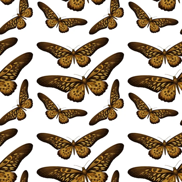 Πεταλούδα Απρόσκοπτη Απεικόνιση Μοτίβο Φόντου — Διανυσματικό Αρχείο