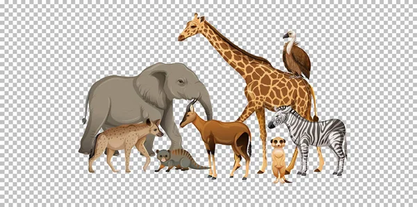 Grupo Animais Africanos Selvagens Sobre Ilustração Fundo Transparente — Vetor de Stock