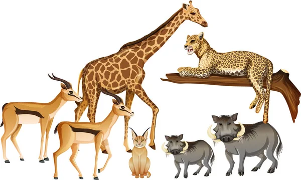 Grupa Dzikich Zwierząt Afrykańskich Białym Tle Ilustracja — Wektor stockowy