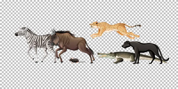 透明背景イラスト上の野生のアフリカ動物のグループ — ストックベクタ