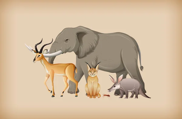 Grupo Animales Silvestres Sobre Ilustración Fondo — Vector de stock