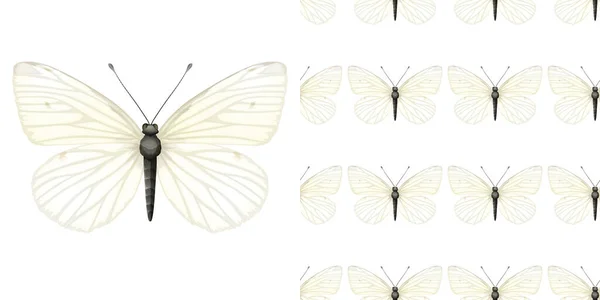 Vlinder Insect Naadloze Achtergrond Illustratie — Stockvector