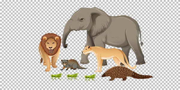 Grupo Animais Africanos Selvagens Sobre Ilustração Fundo Transparente — Vetor de Stock