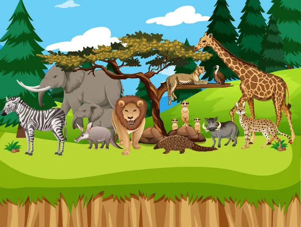 Groep Wild Afrikaans Dier Dierentuin Scene Illustratie — Stockvector