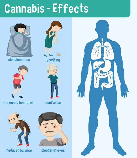 Gezondheidseffecten Van Cannabis Infografische Illustratie — Stockvector