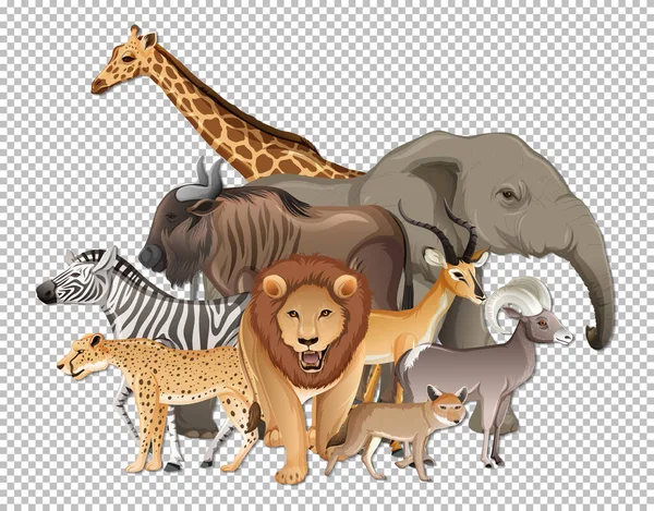 Skupina Volně Žijících Afrických Zvířat Průhledném Pozadí Ilustrace — Stockový vektor