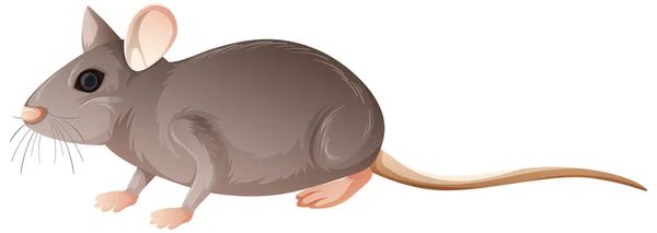 Isolierte Maus Auf Weißem Hintergrund — Stockvektor