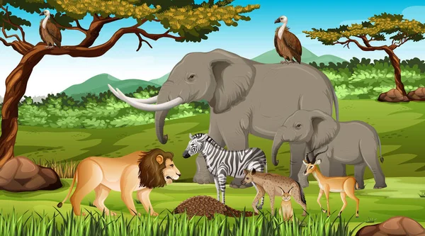 Grupo Animales Salvajes Africanos Escena Forestal Ilustración — Vector de stock